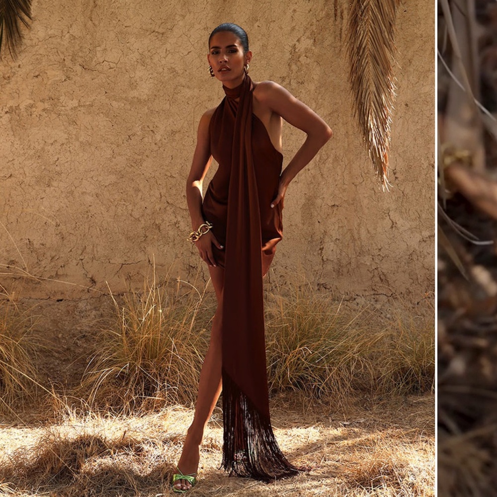 NWT Rat & Boa Serafia Dress in Cocoa